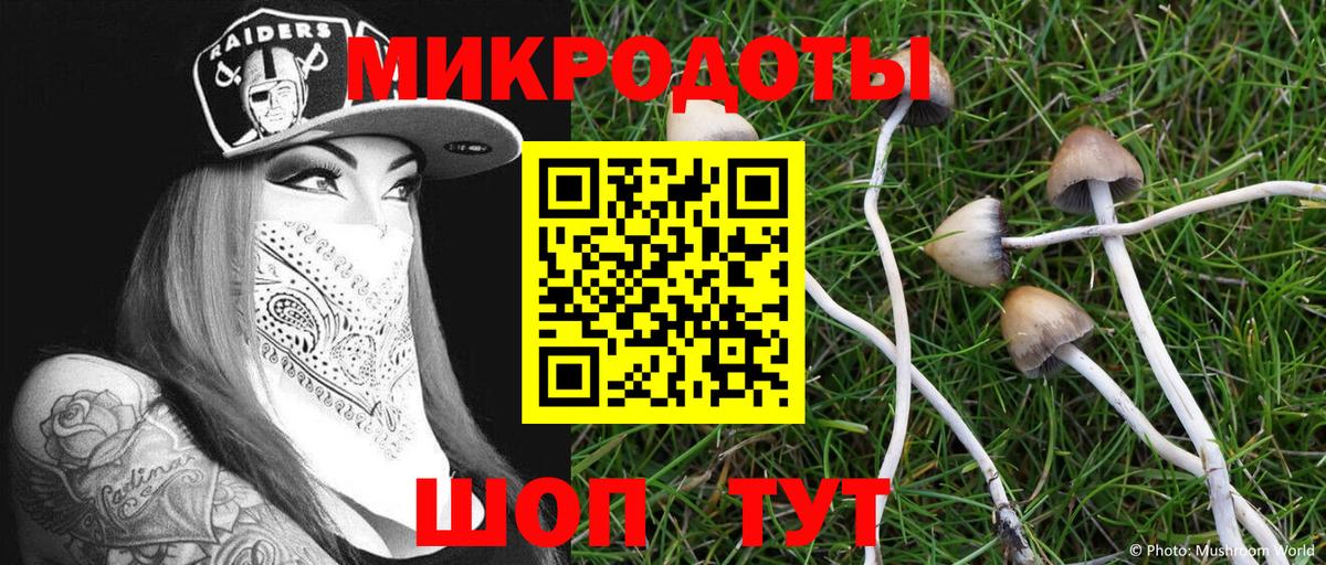 Псилоцибиновые грибы MAGIC MUSHROOMS  Вход с VPN  где найти наркотики  Асбест  Псилоцибиновые грибы GOLDEN TEACHER 